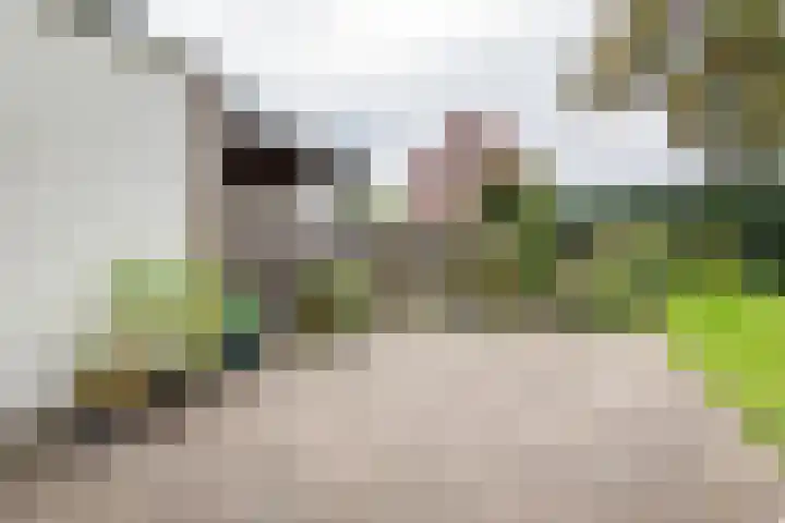 Schuttersweg 81 Ulft thumbnail 39