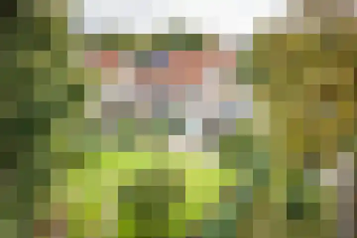 Schuttersweg 81 Ulft thumbnail 4