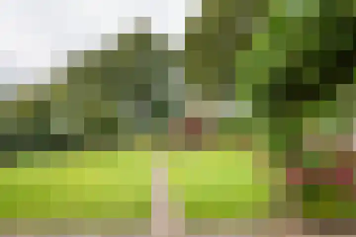 Schuttersweg 81 Ulft thumbnail 40