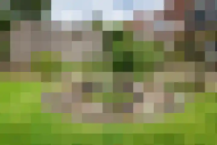 Schuttersweg 81 Ulft thumbnail 41