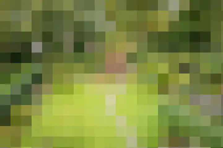 Schuttersweg 81 Ulft thumbnail 42