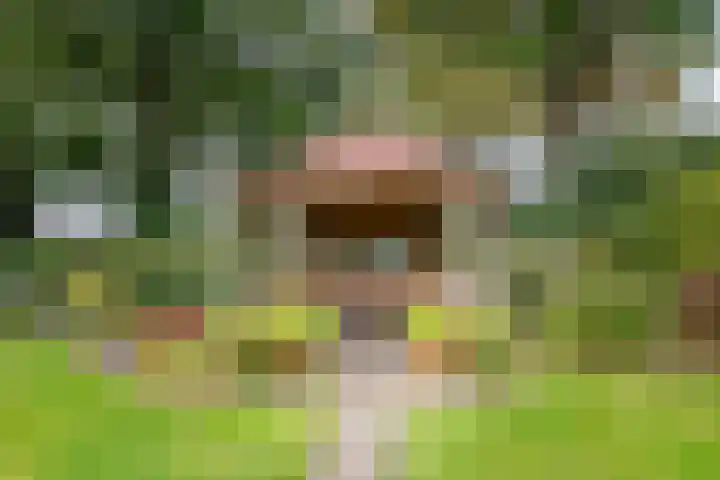 Schuttersweg 81 Ulft thumbnail 43