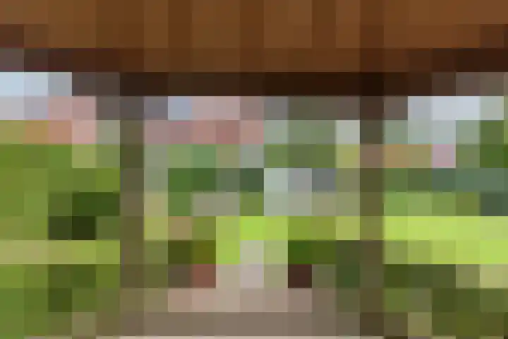 Schuttersweg 81 Ulft thumbnail 45