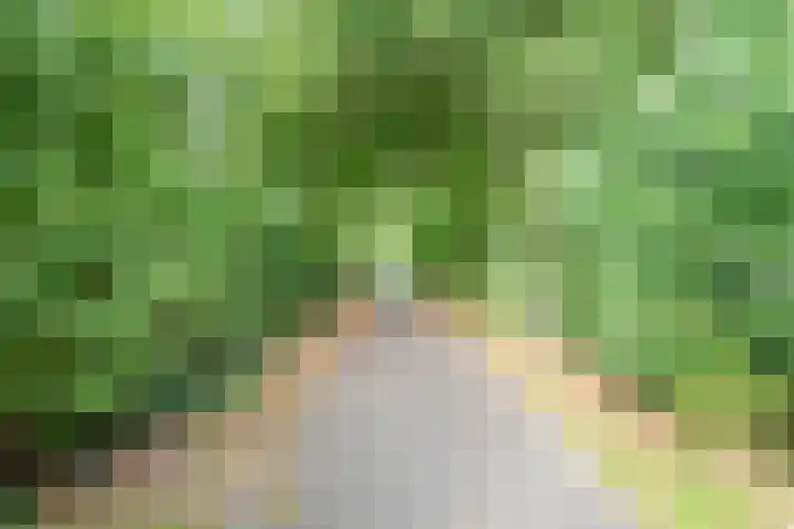 Schuttersweg 81 Ulft thumbnail 48