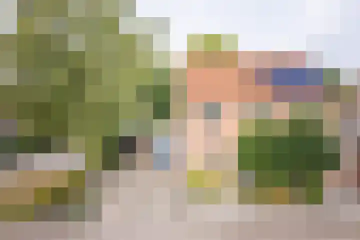 Schuttersweg 81 Ulft thumbnail 5