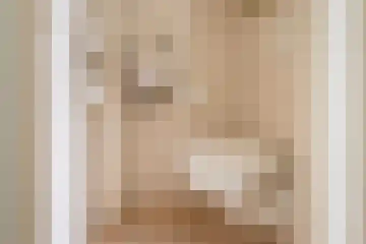 Schuttersweg 81 Ulft thumbnail 8
