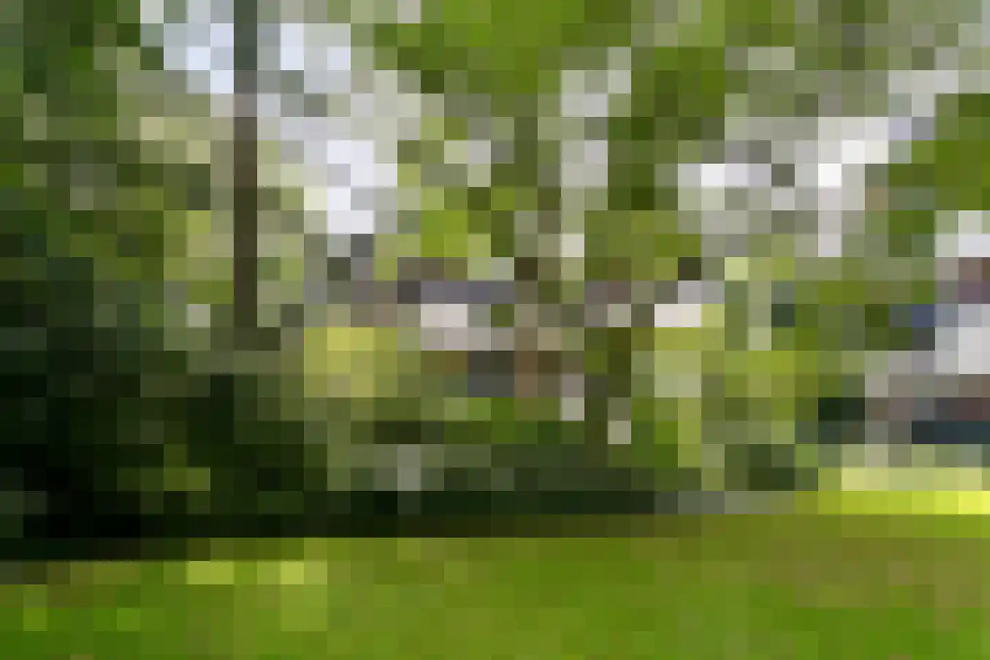 Schuttersweg 82 Hilversum thumbnail 24