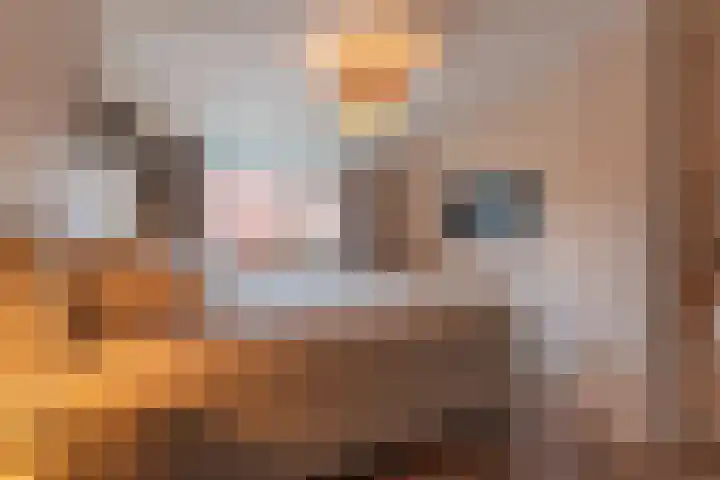 Schutterswei 12 Katwijk thumbnail 14