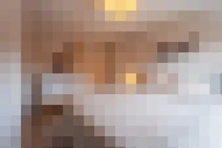 Schutterswei 12 Katwijk thumbnail 15