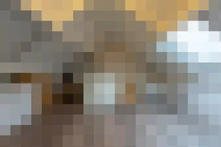 Schutterswei 12 Katwijk thumbnail 25