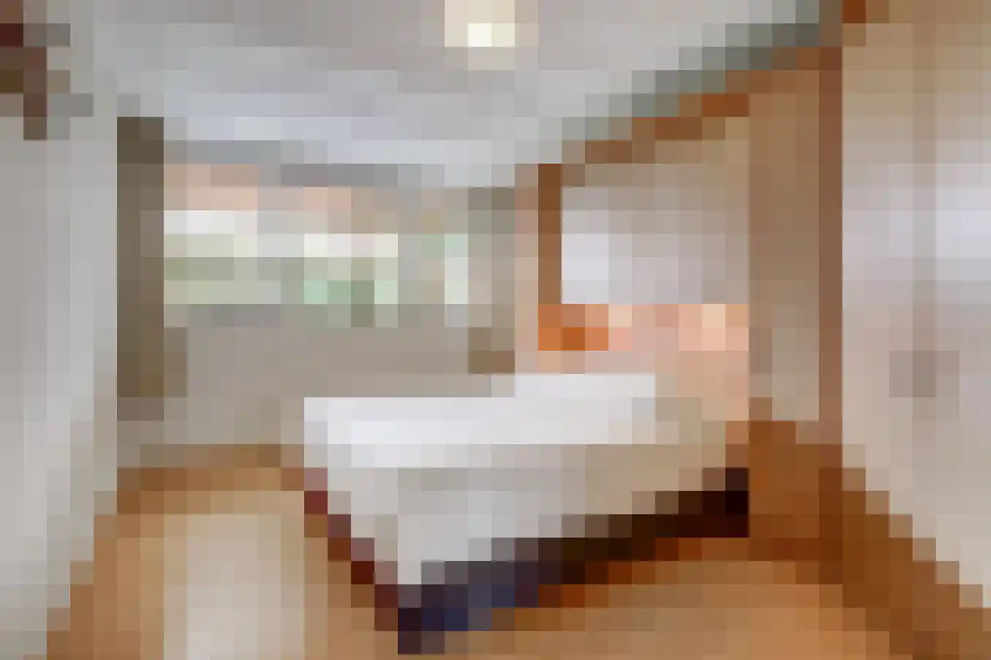 Schuttersweide 11 Grubbenvorst thumbnail 29