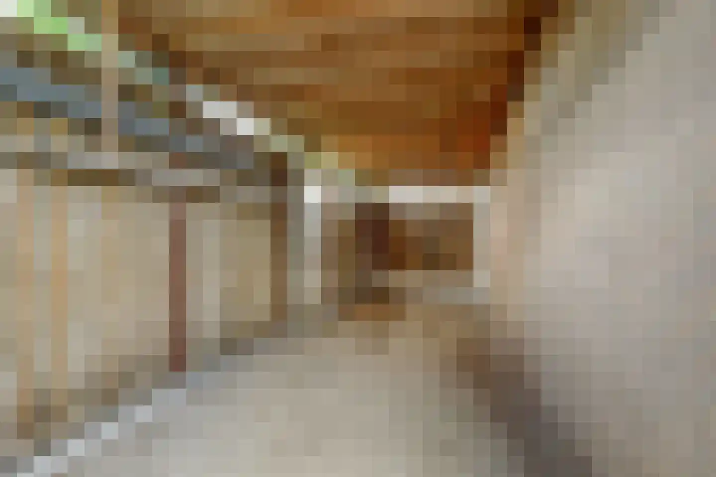Schuttersweide 11 Grubbenvorst thumbnail 36