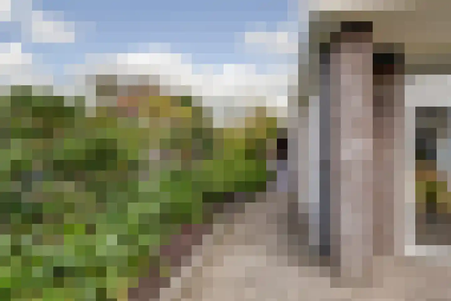 Schuttersweide 11 Grubbenvorst thumbnail 38