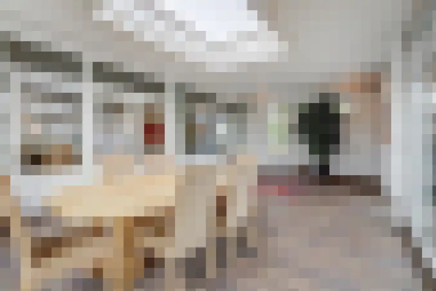 Schuttersweide 11 Grubbenvorst thumbnail 4