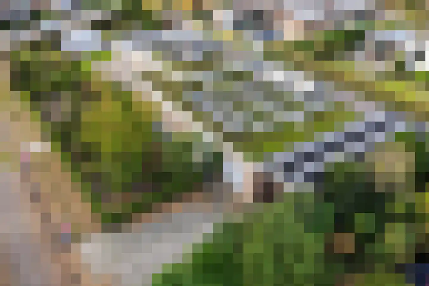 Schuttersweide 11 Grubbenvorst thumbnail 46