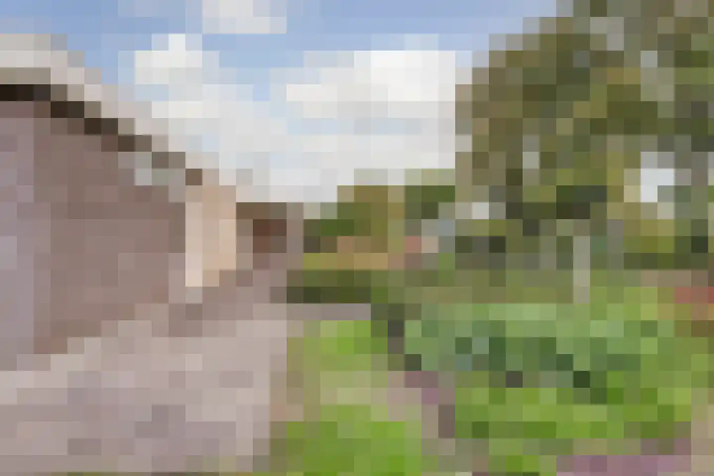 Schuttersweide 11 Grubbenvorst thumbnail 9