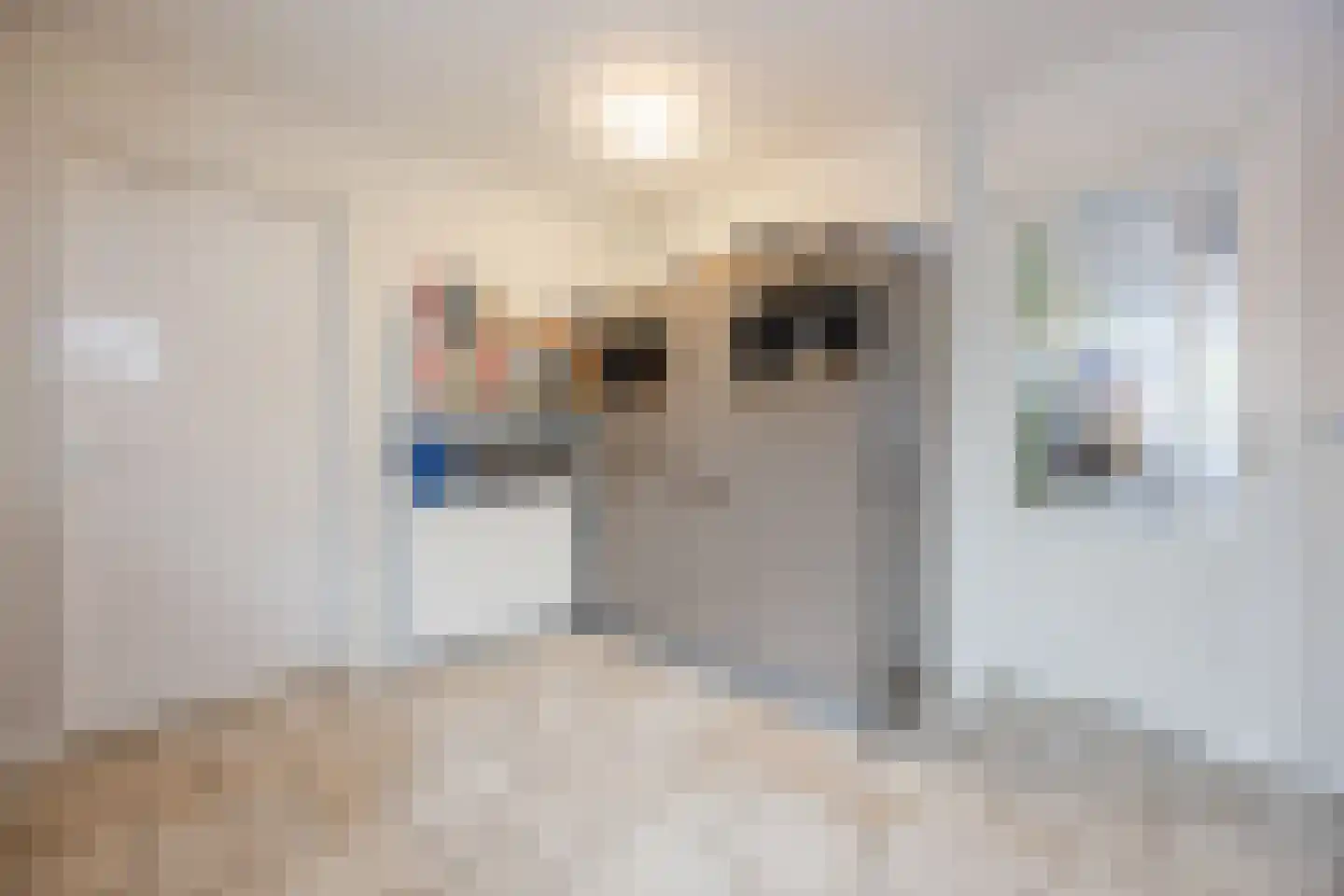 Schuttersweide 23 Westdorpe thumbnail 22