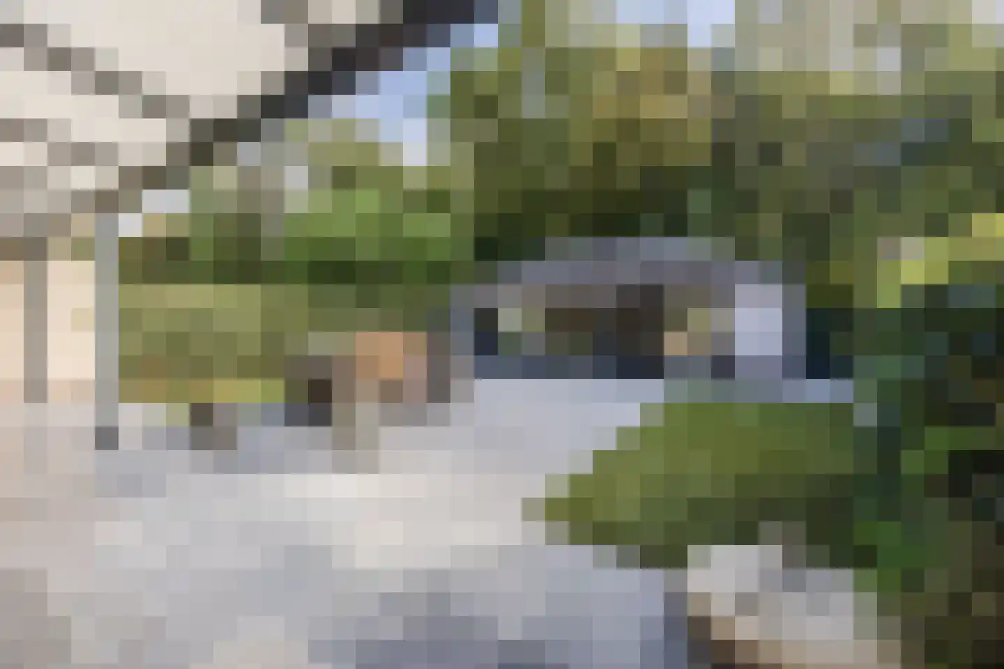 Schuttersweide 23 Westdorpe thumbnail 47