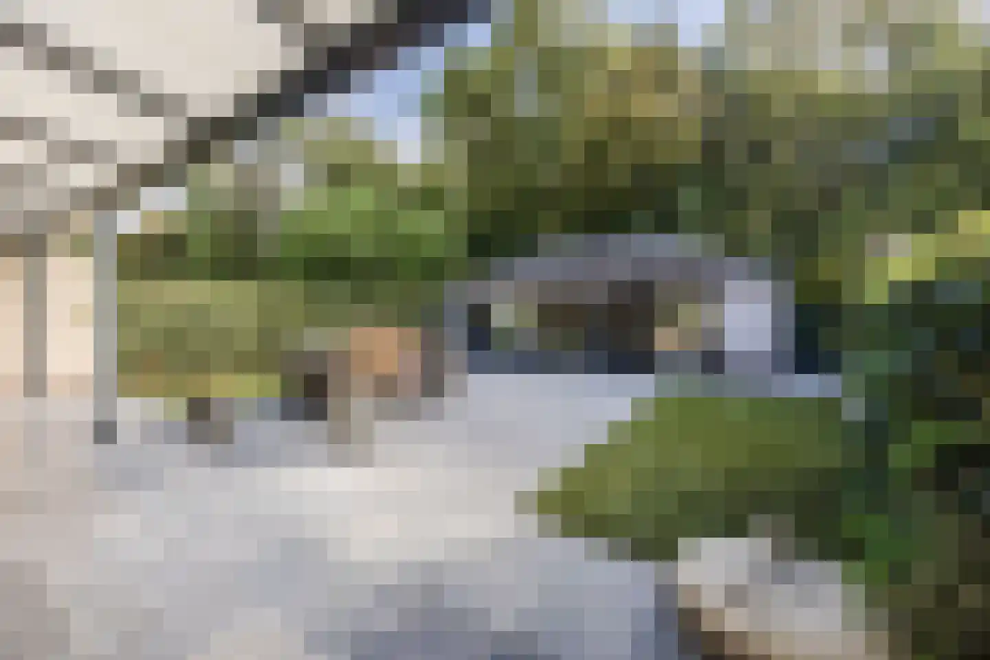 Schuttersweide 23 Westdorpe thumbnail 48
