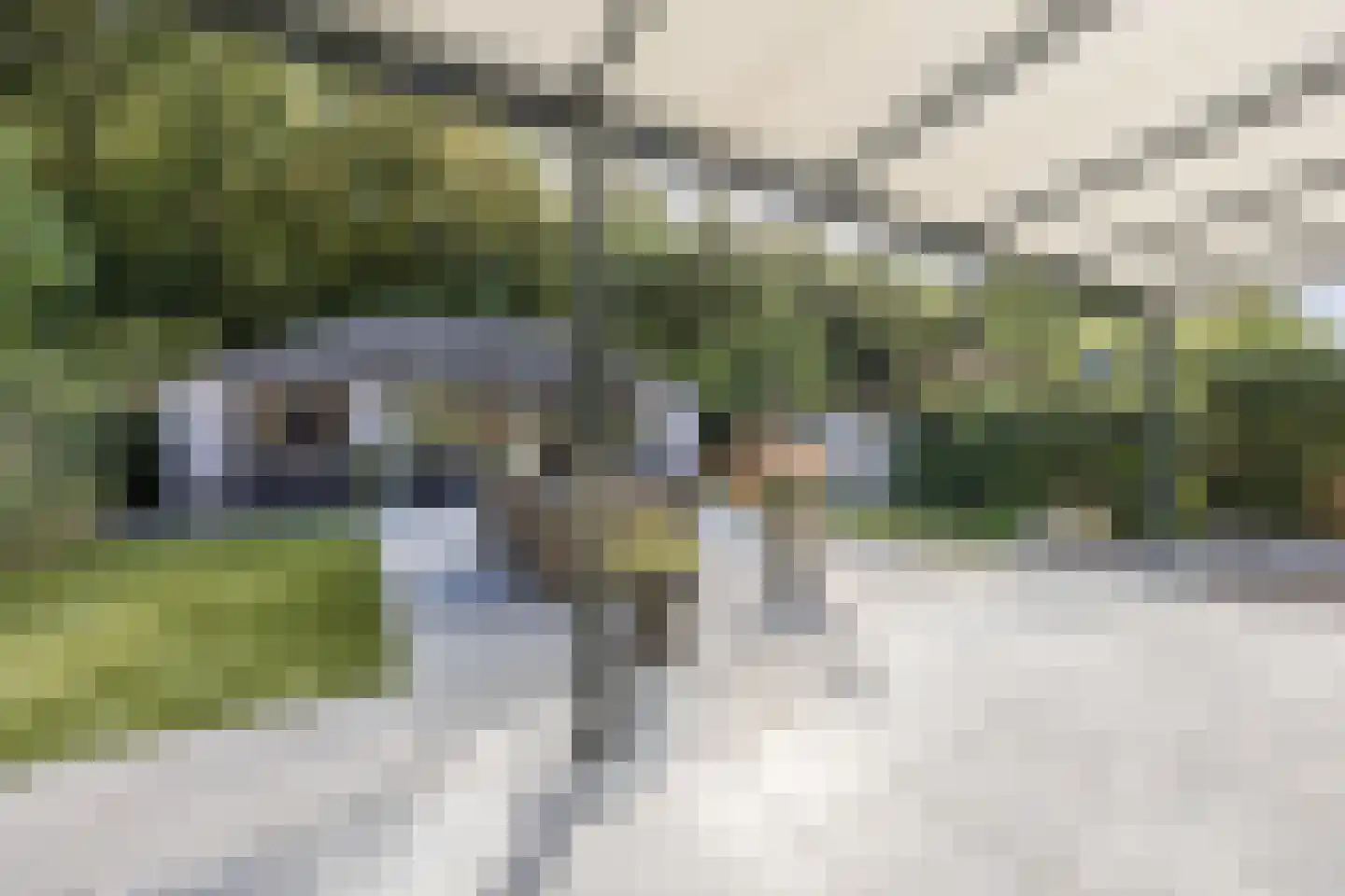 Schuttersweide 23 Westdorpe thumbnail 48