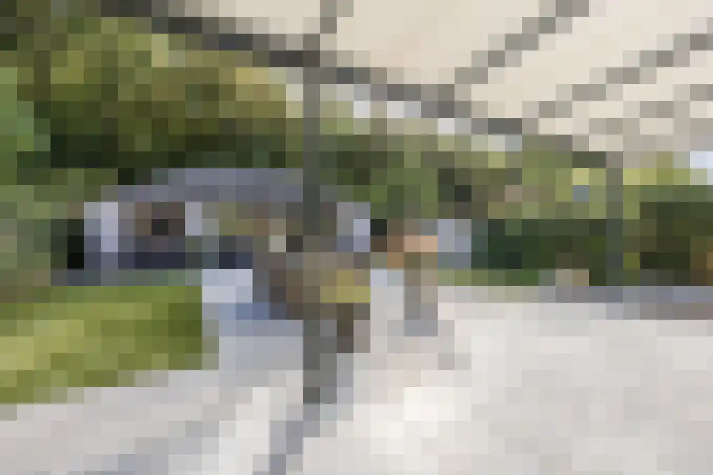 Schuttersweide 23 Westdorpe thumbnail 49
