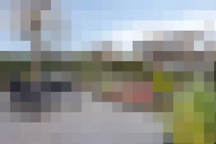Schuttersweide 24 Westdorpe thumbnail 4