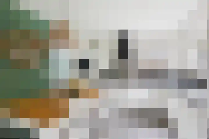 Schuttersweide 27 Westdorpe thumbnail 18