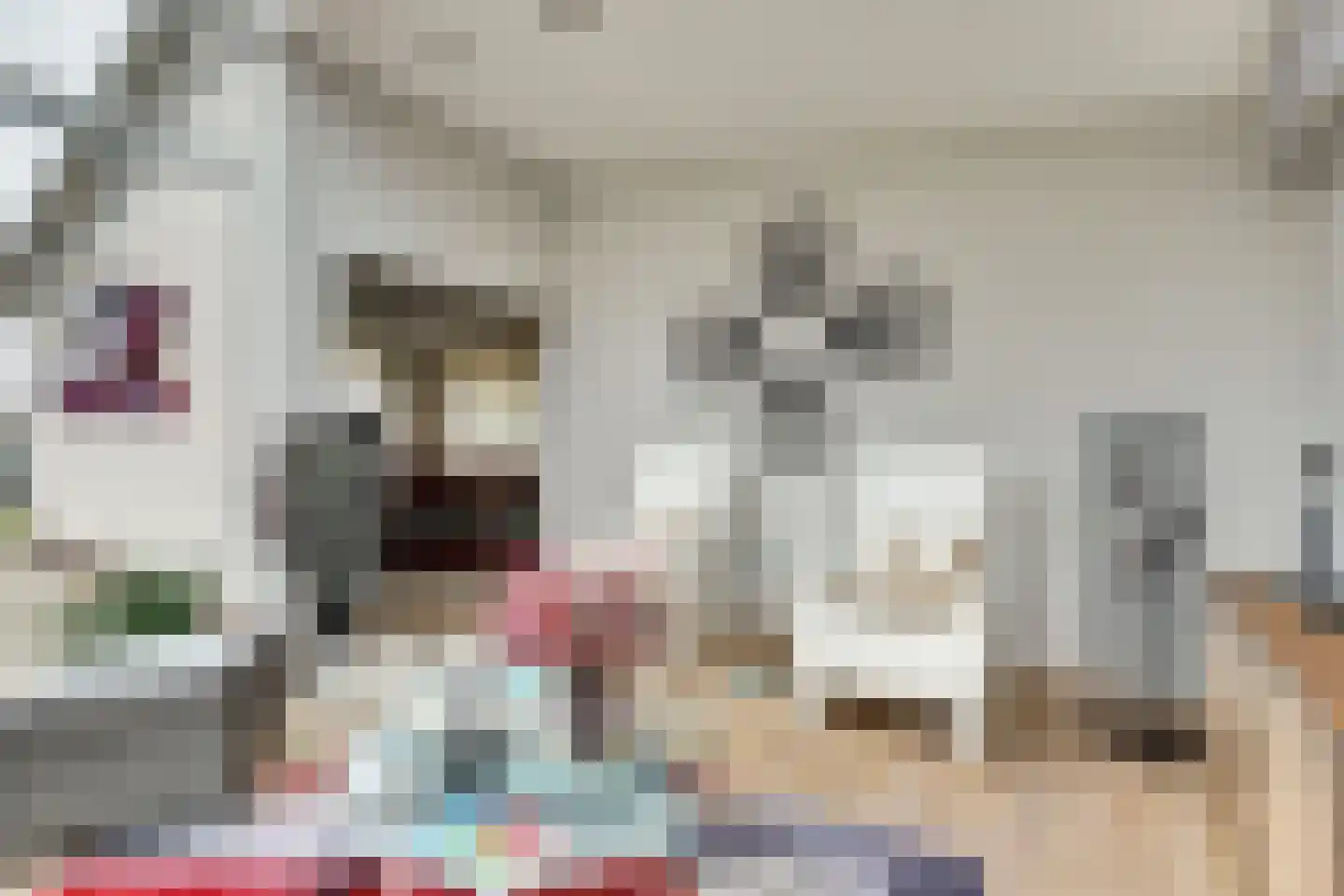 Schuttersweide 5 Grubbenvorst thumbnail 12