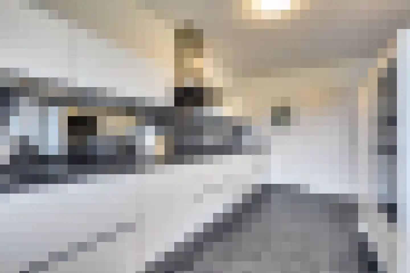 Schuttersweide 5 Grubbenvorst thumbnail 14
