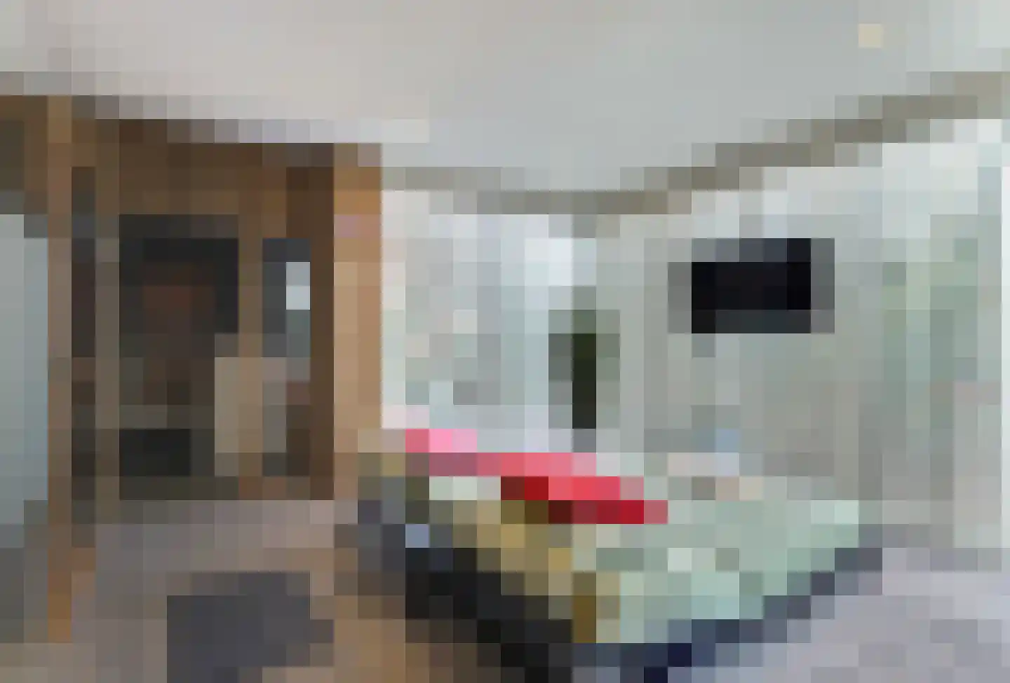 Schuttersweide 5 Grubbenvorst thumbnail 17