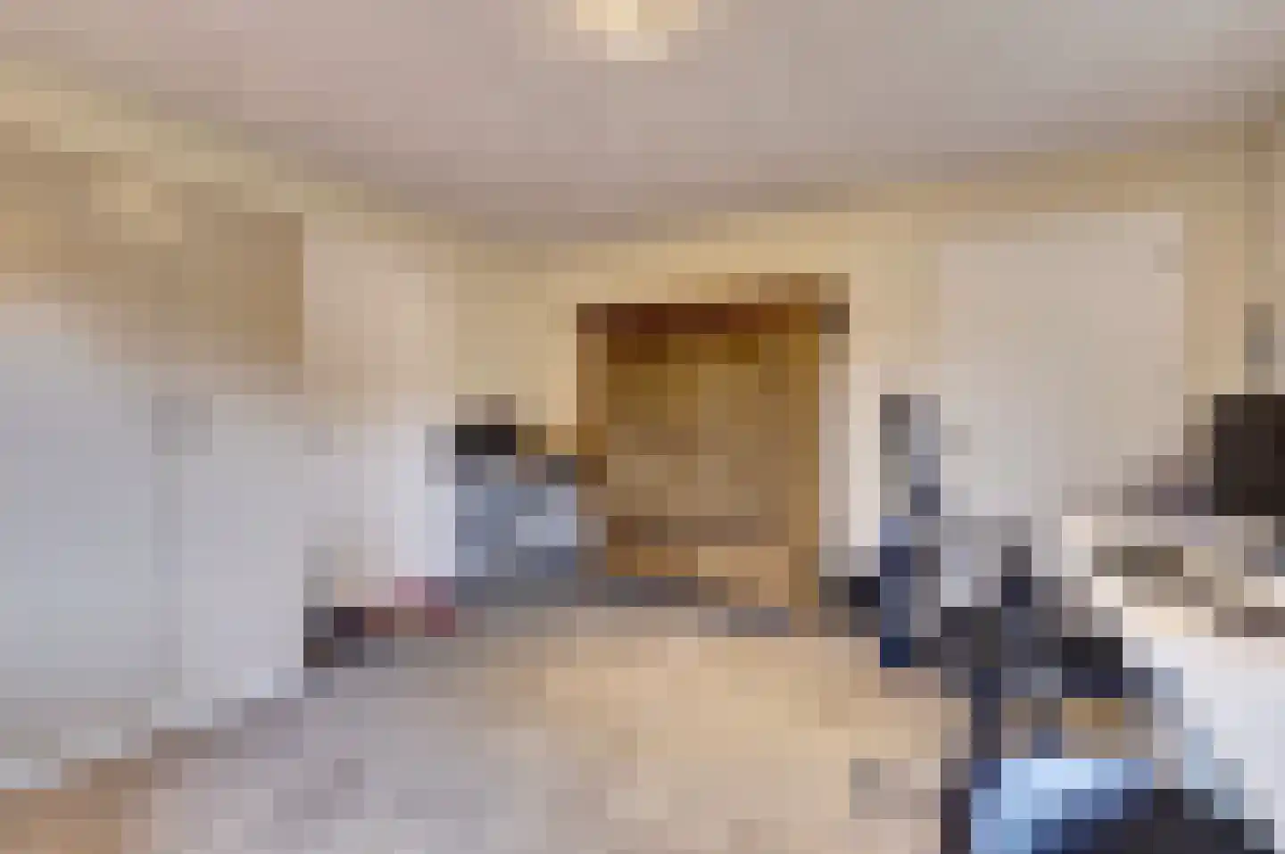 Schuttersweide 5 Grubbenvorst thumbnail 28