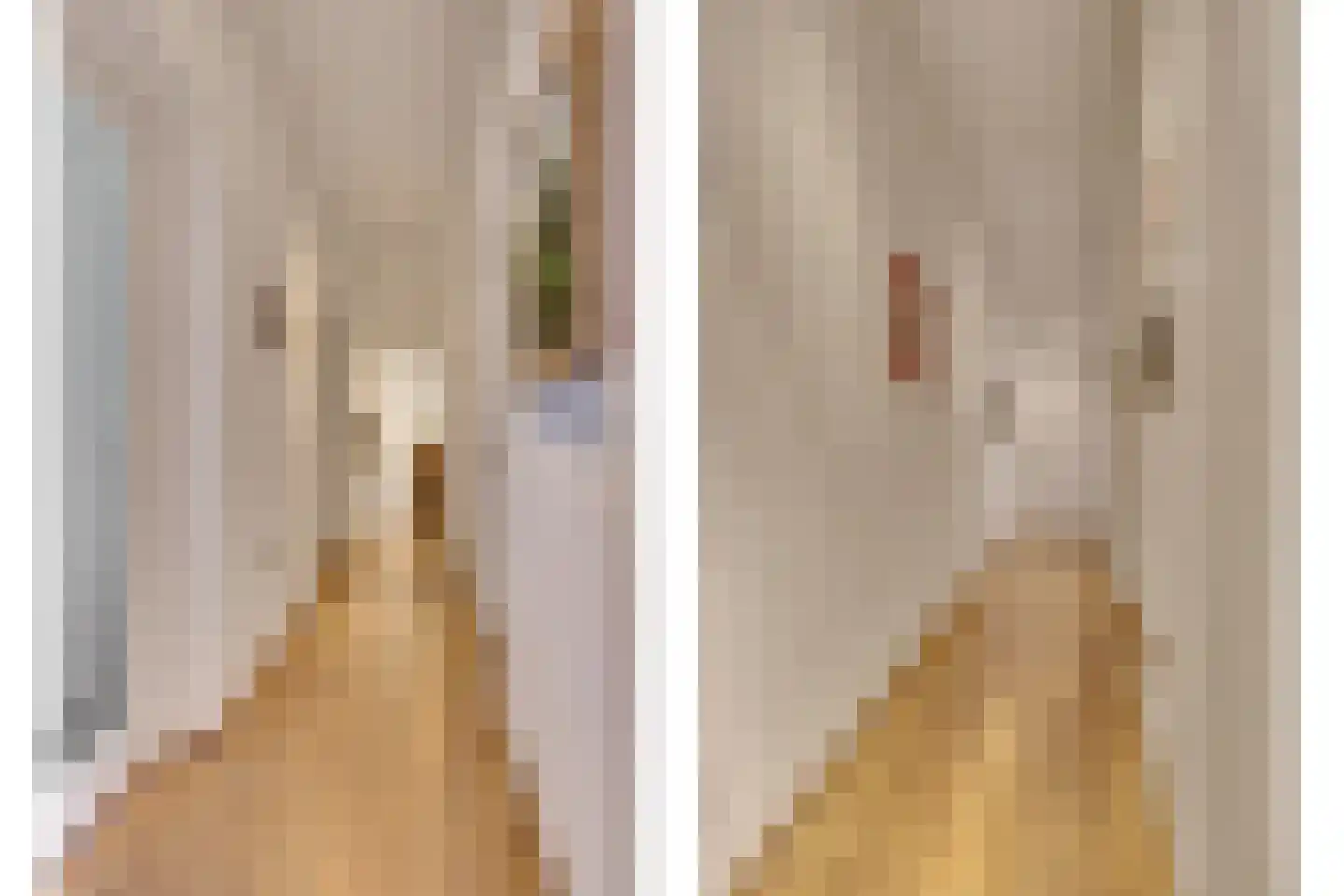 Schuttersweide 5 Grubbenvorst thumbnail 5