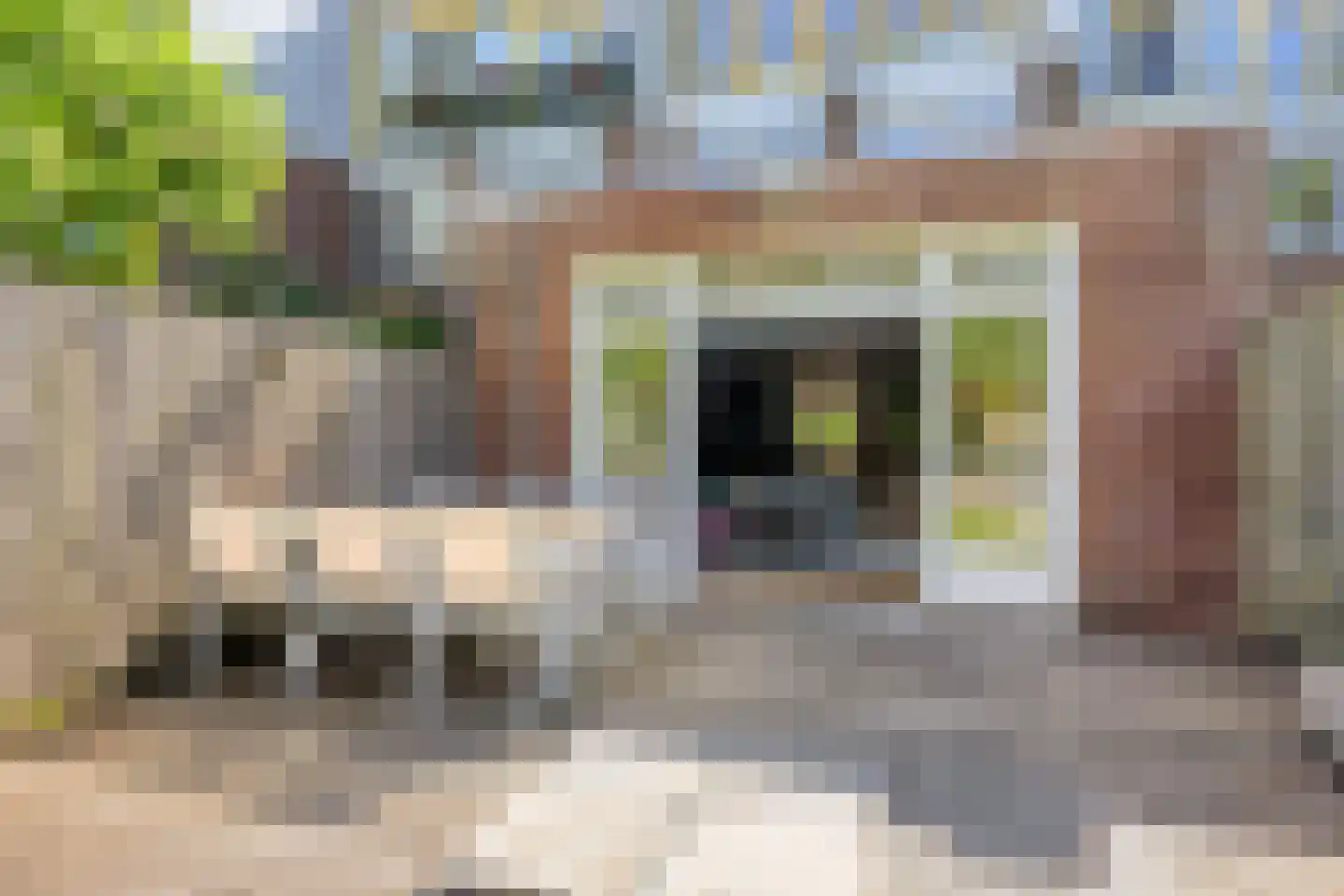 Schutterweg 7 Amsterdam thumbnail 16