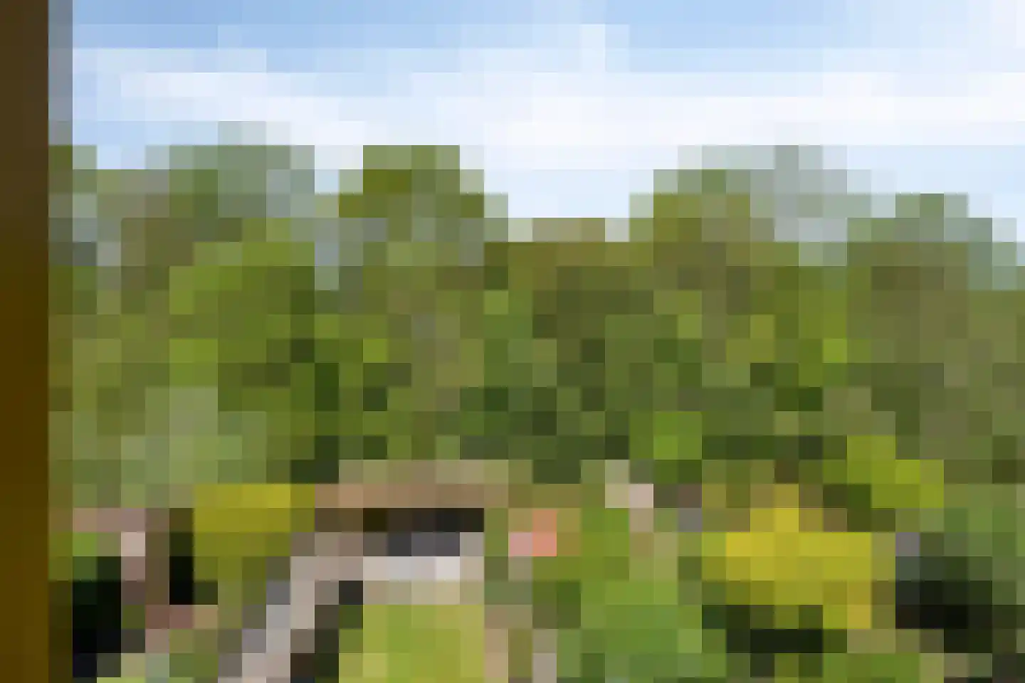 Schutterweg 7 Amsterdam thumbnail 52