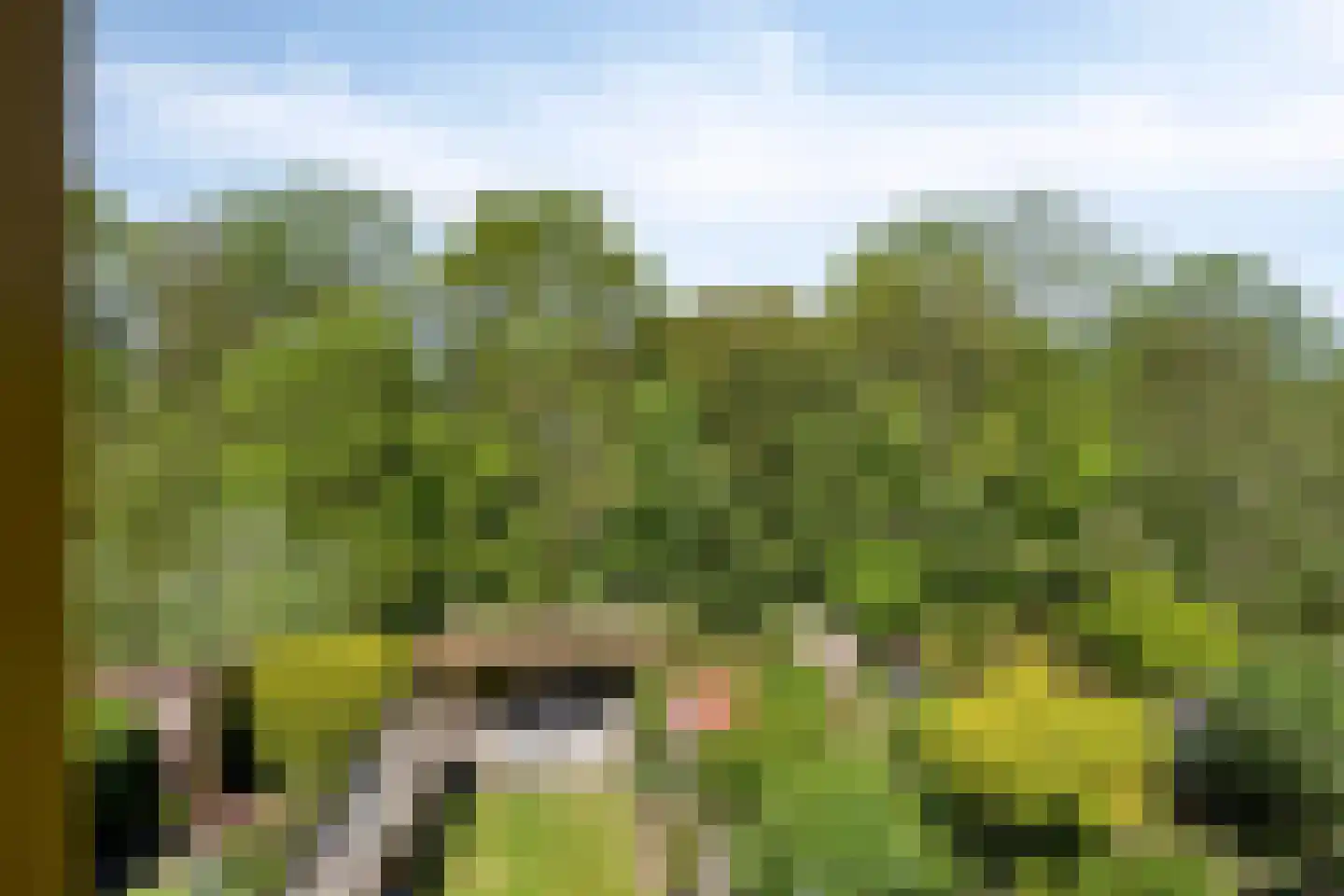 Schutterweg 7 Amsterdam thumbnail 53