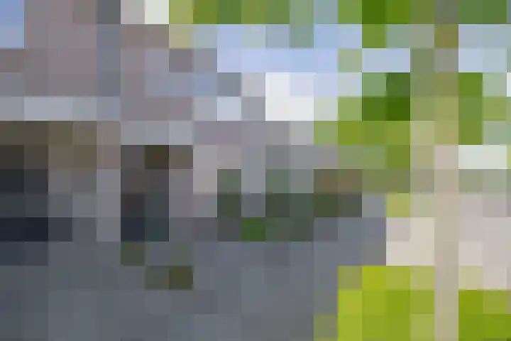 Schutterwei 12 Valkenswaard thumbnail 11