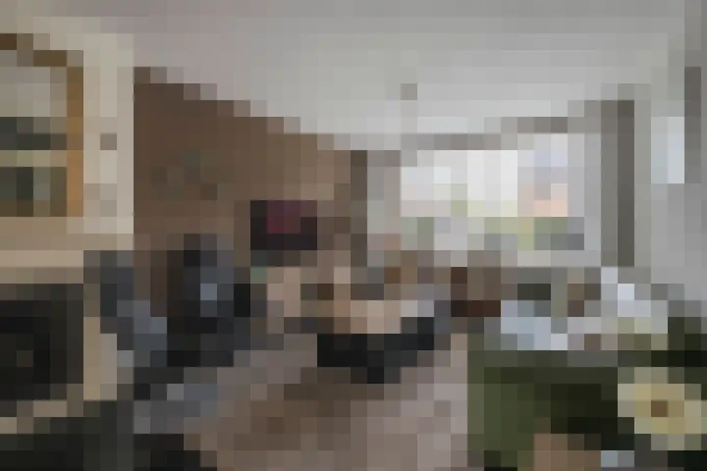 Schutterwei 12 Valkenswaard thumbnail 13