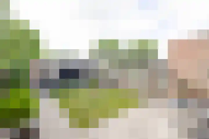 Schutterwei 12 Valkenswaard thumbnail 28