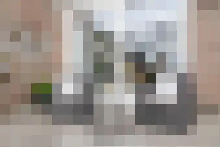 Schutterwei 12 Valkenswaard thumbnail 34