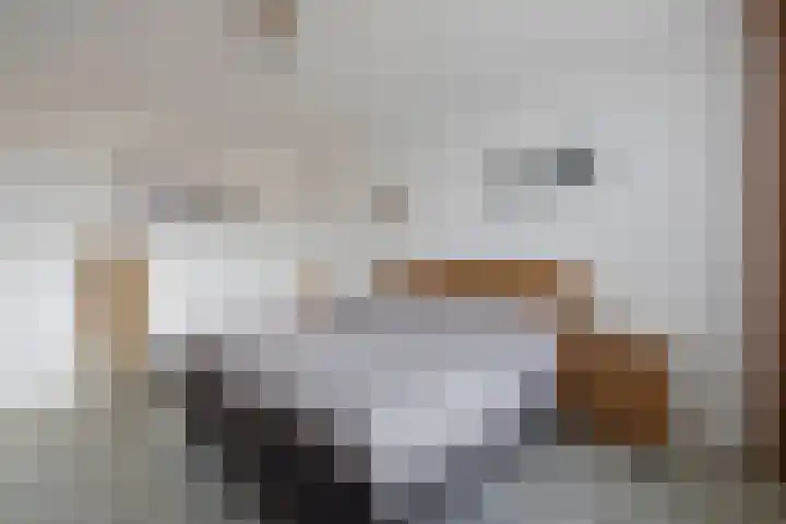 Schutterwei 12 Valkenswaard thumbnail 42