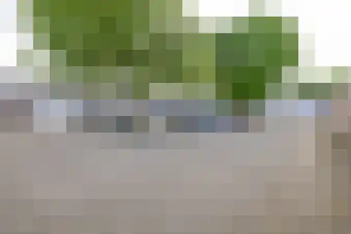 Schutterwei 12 Valkenswaard thumbnail 49