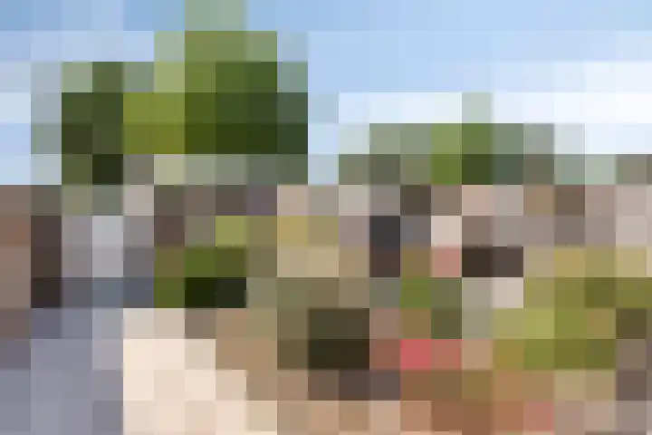 Schutterwei 16 Valkenswaard thumbnail 41