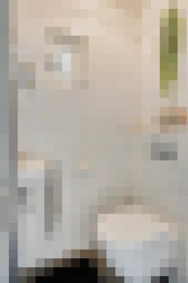 Schutterwei 16 Valkenswaard thumbnail 8