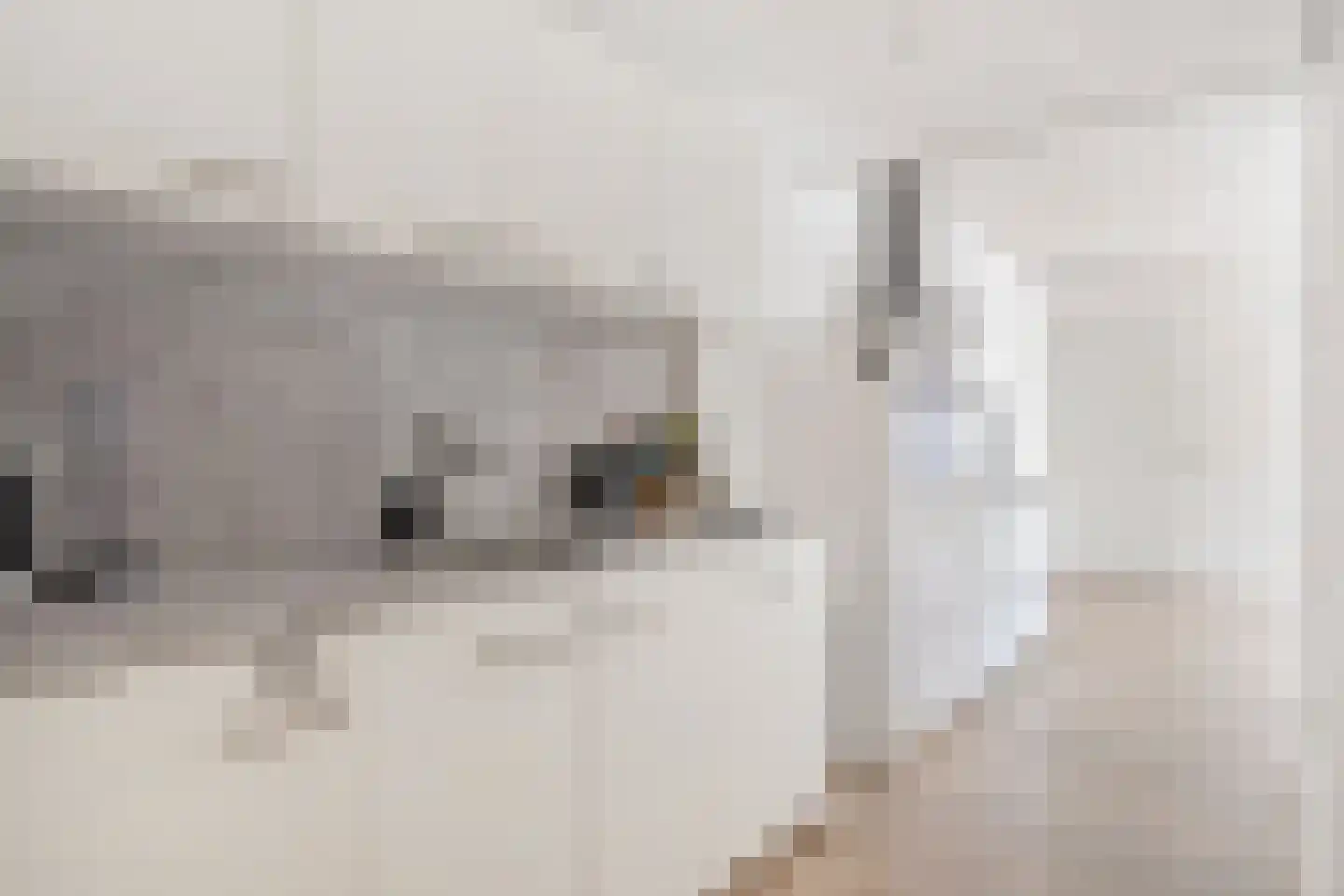 Schuttestraat 13 Koudekerke thumbnail 6