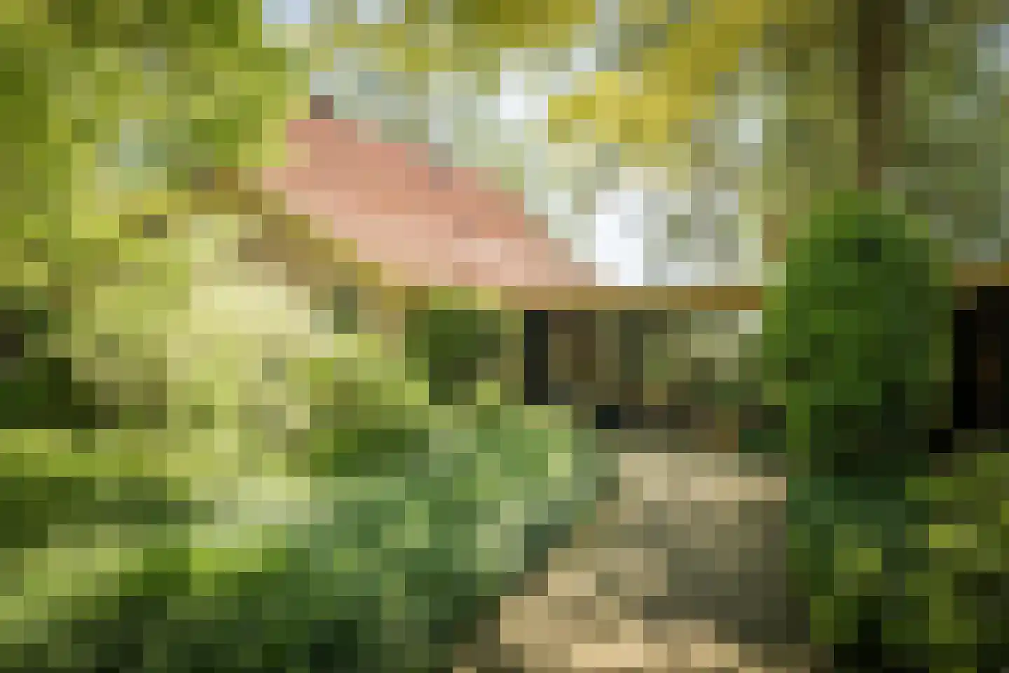 Schuttestraat 28 Vorden thumbnail 11