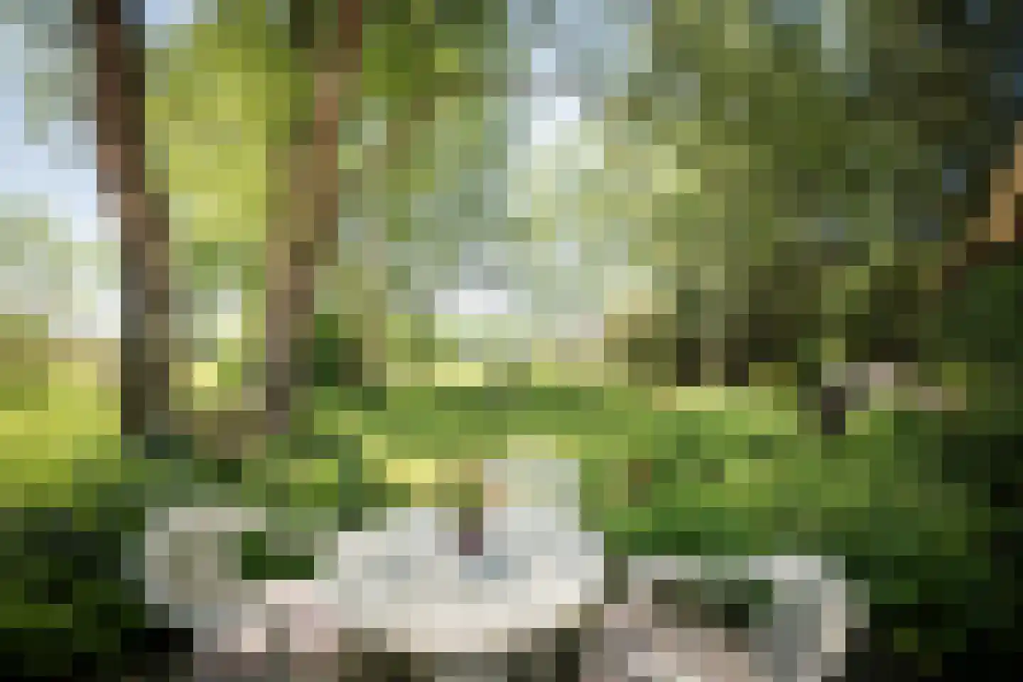 Schuttestraat 28 Vorden thumbnail 12