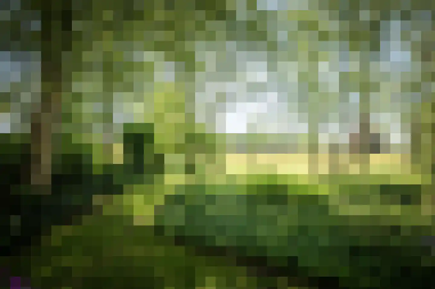 Schuttestraat 28 Vorden thumbnail 13