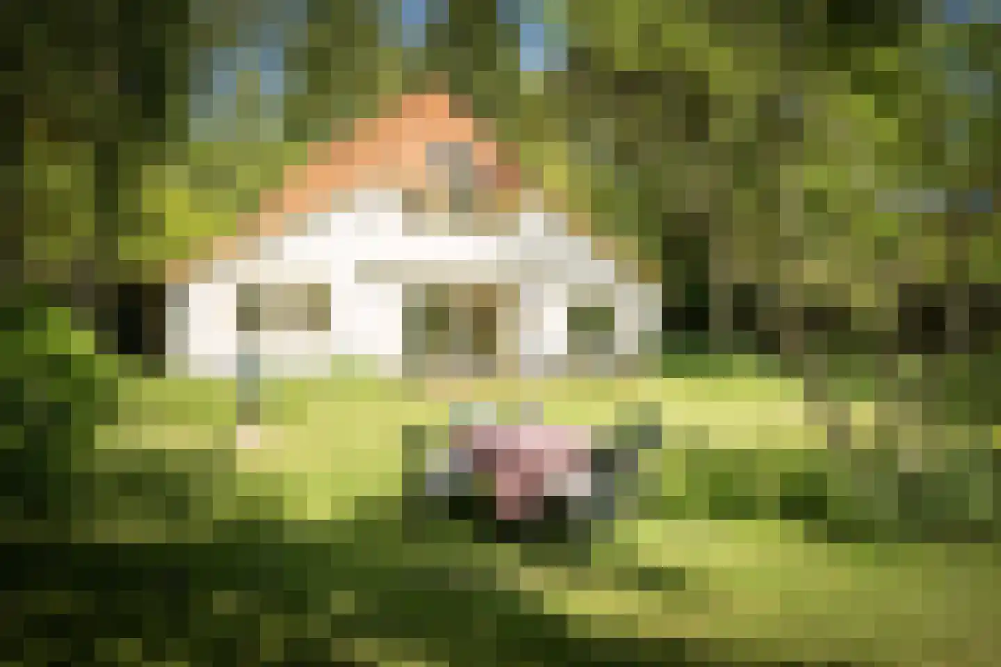 Schuttestraat 28 Vorden thumbnail 14