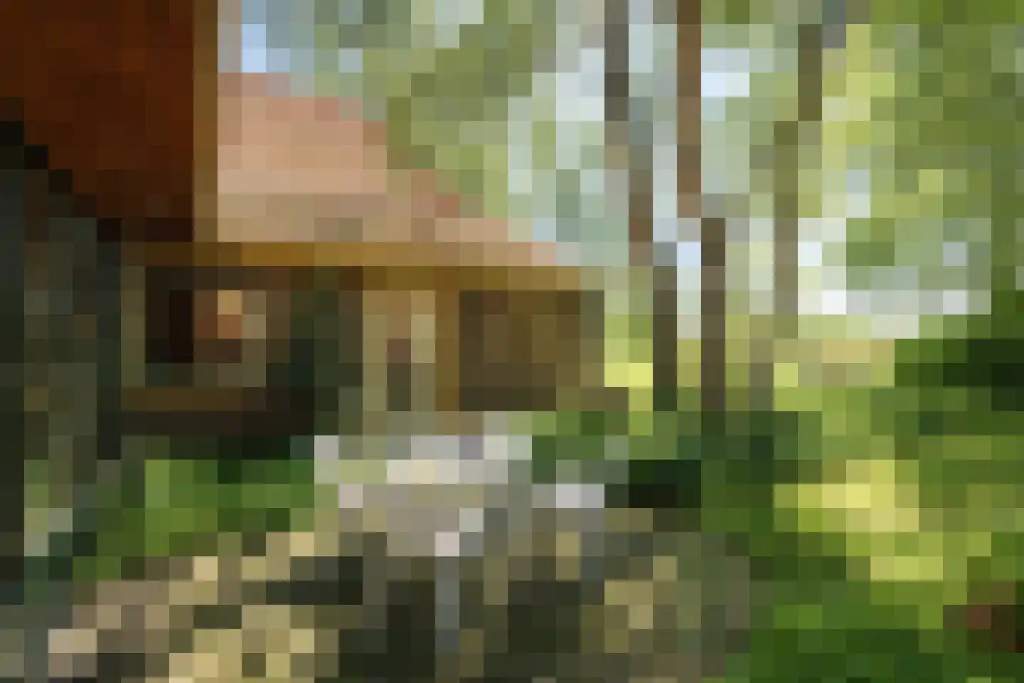Schuttestraat 28 Vorden thumbnail 15