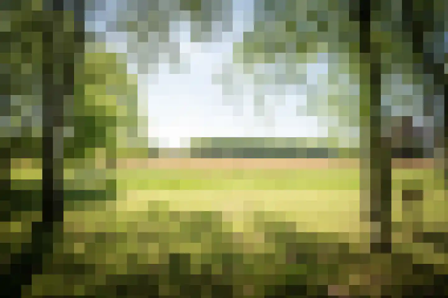 Schuttestraat 28 Vorden thumbnail 16
